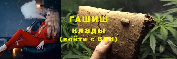 шишки Краснотурьинск