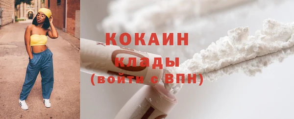 гашик Коряжма