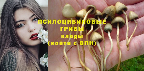 шишки Краснотурьинск