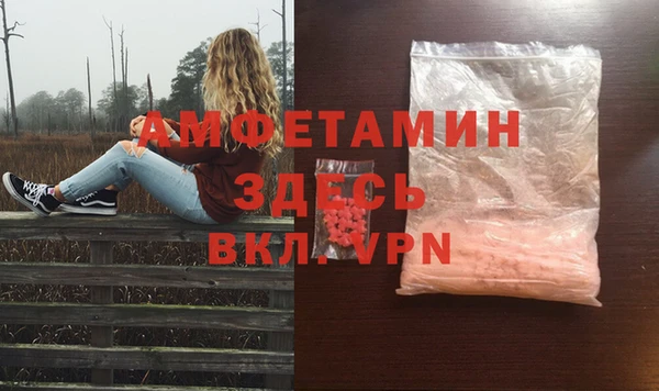 гашик Коряжма