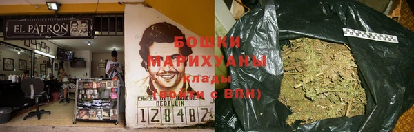 шишки Краснотурьинск