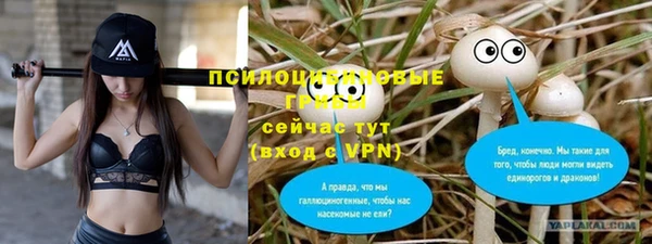 трава Краснослободск