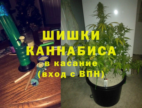 трава Краснослободск
