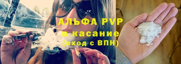гашик Коряжма