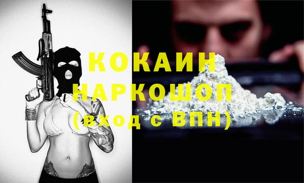 гашик Коряжма