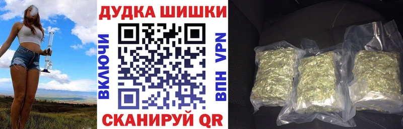 Канабис сатива Кирс